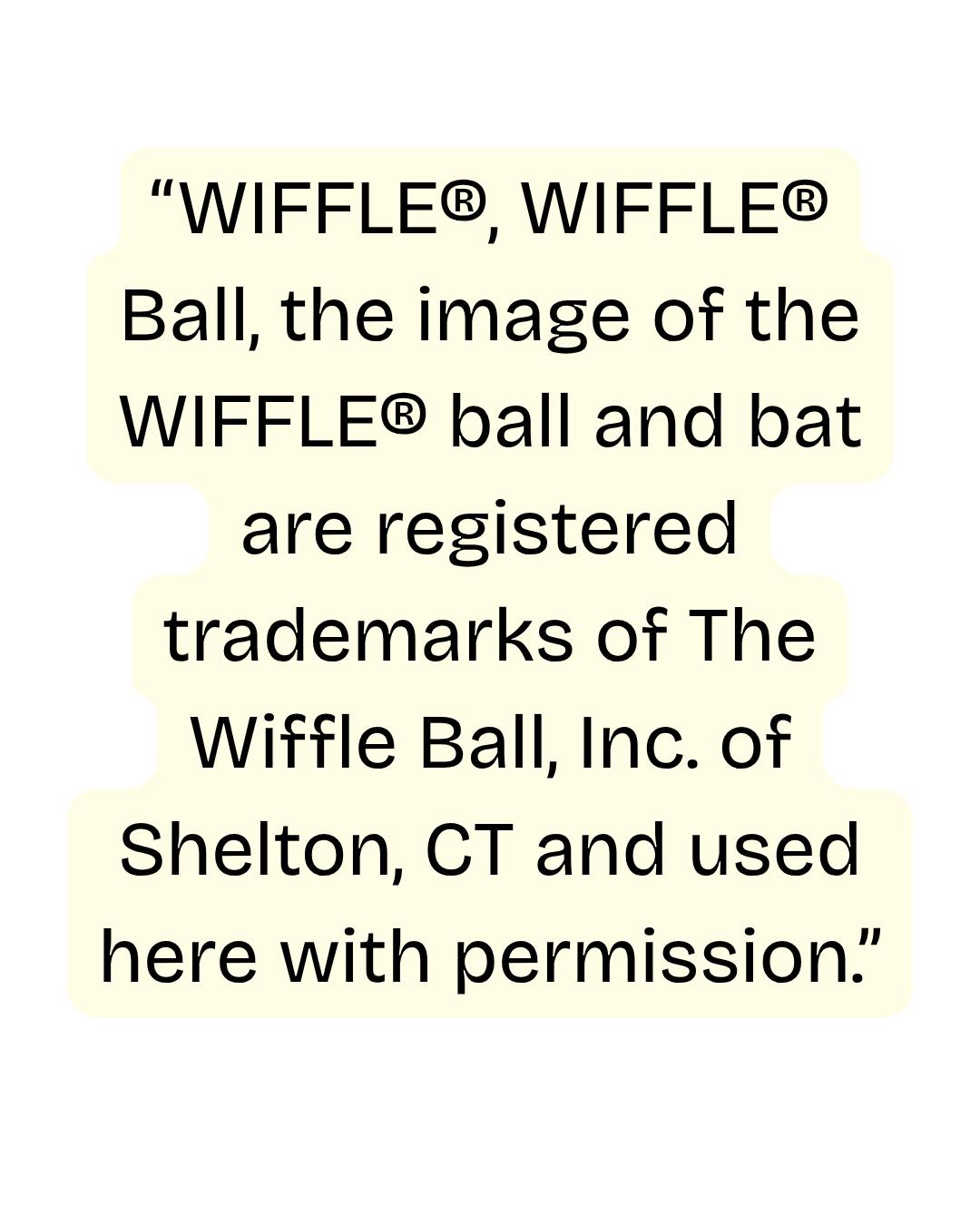 FLAME - Fire Wrapped WIFFLE® Bat